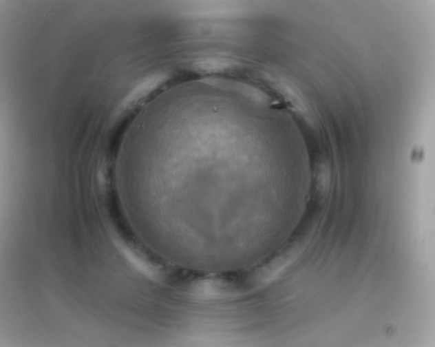 X0000095120408200712071244