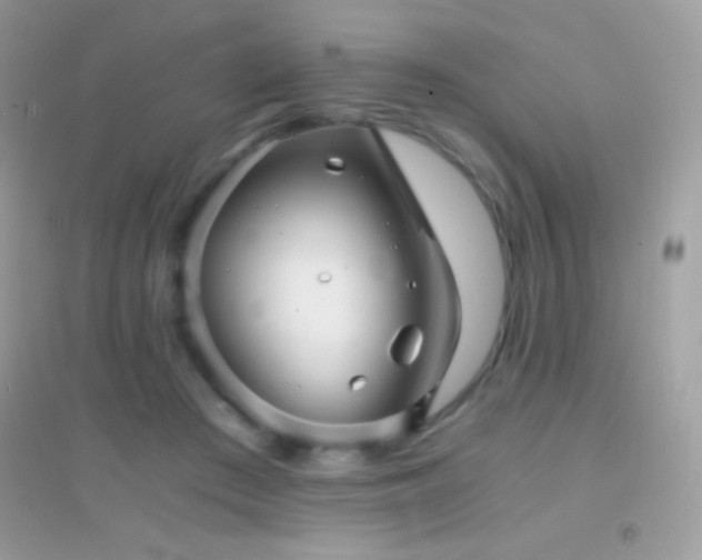 X0000095120409200712071244