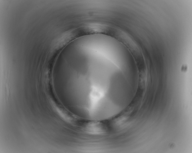 X0000095120410200712071244
