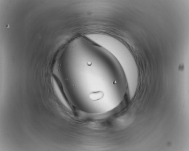 X0000095120411200712071244