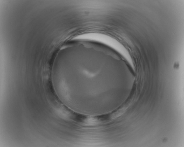 X0000095120413200712071244