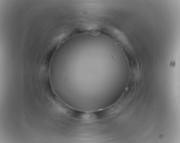 X0000095120415200712071244