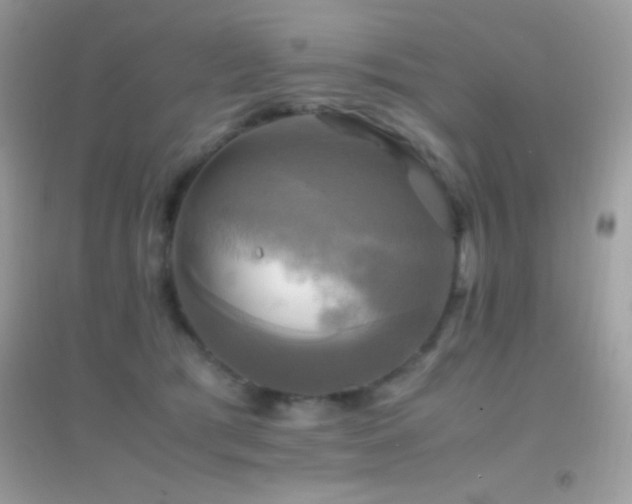 X0000095120417200712071244
