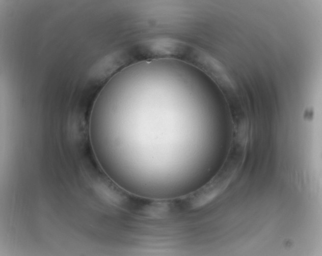 X0000095120418200712071244