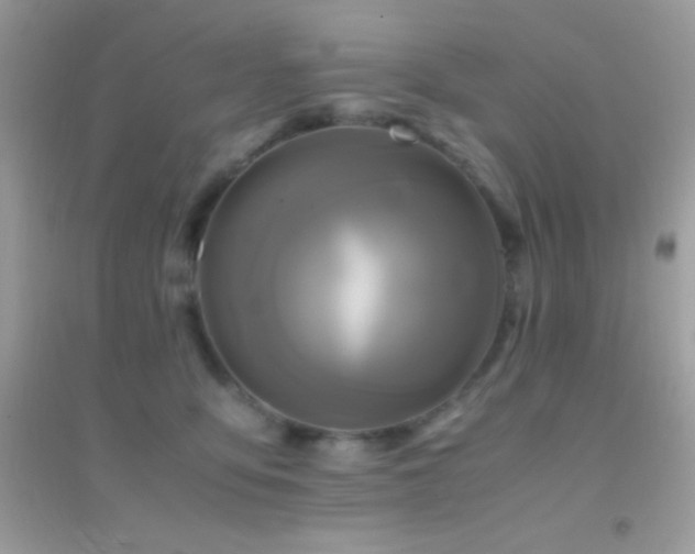 X0000095120419200712071244