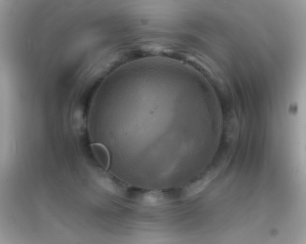 X0000095120420200712071244