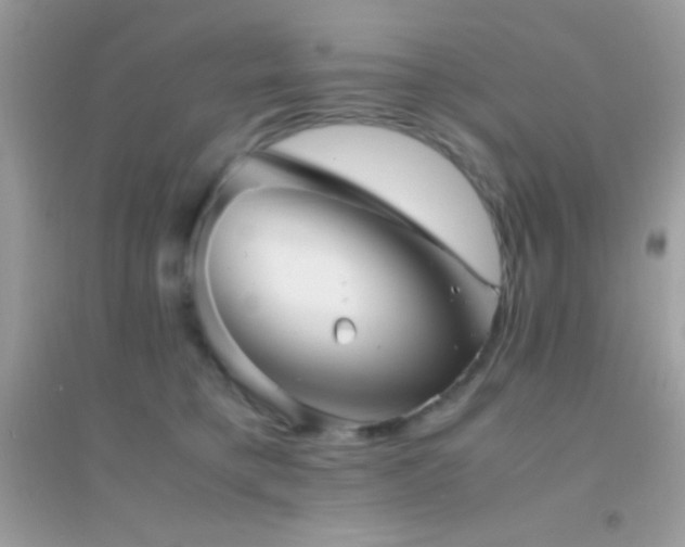 X0000095120421200712071244