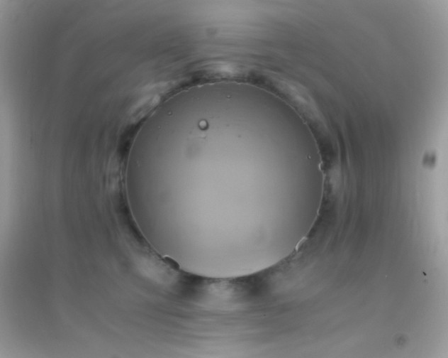 X0000095120423200712071244
