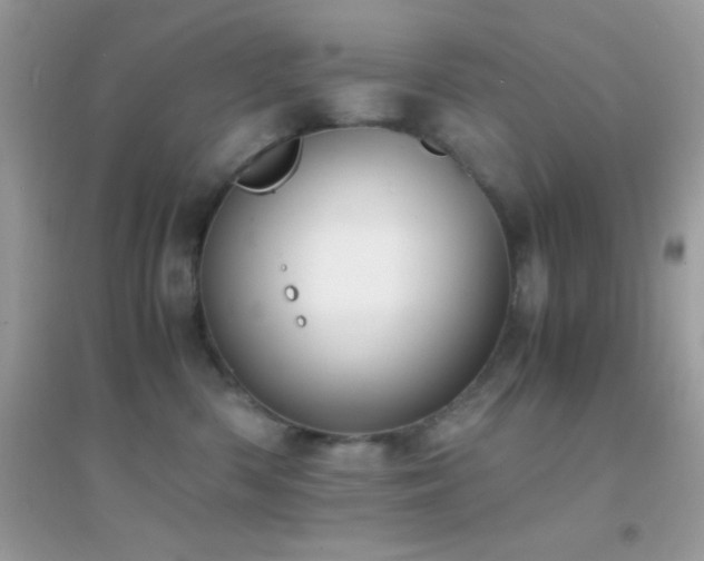 X0000095120426200712071244