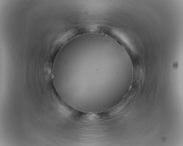 X0000095120427200712071244