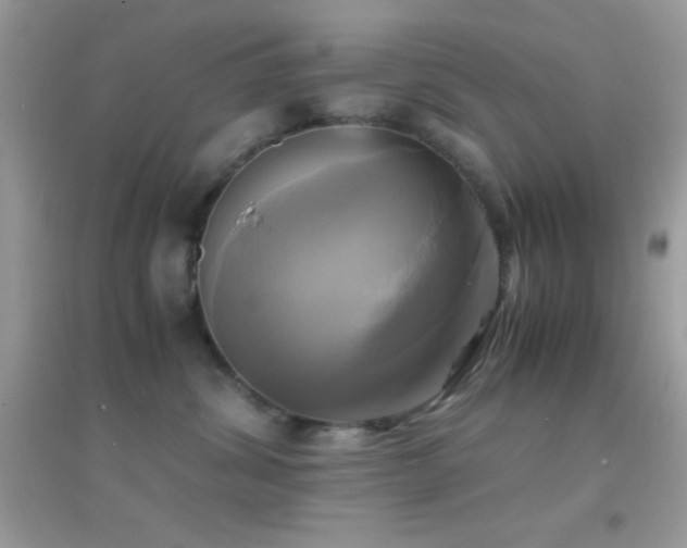 X0000095120428200712071244