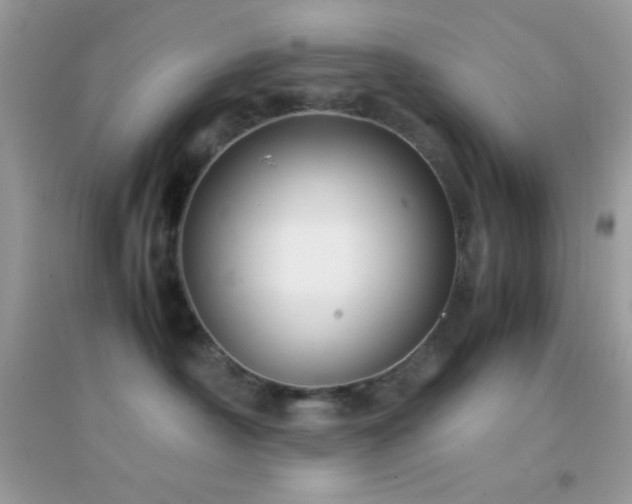 X0000095120430200712071244