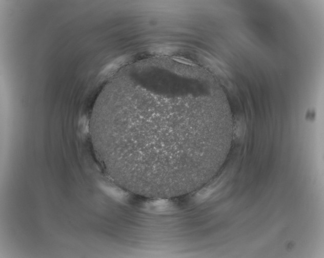 X0000095120431200712071244