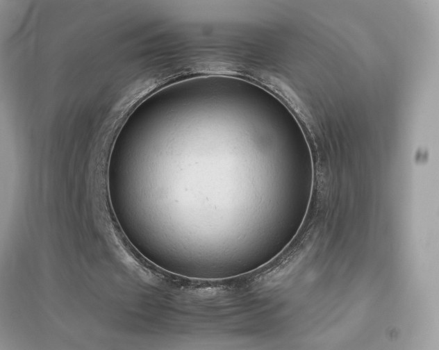 X0000095120433200712071243
