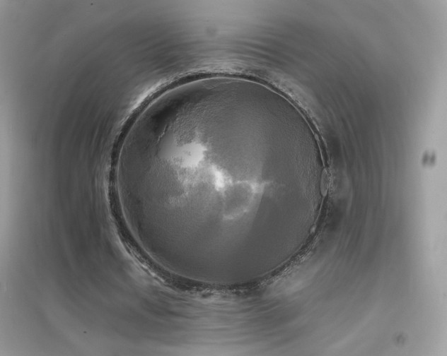 X0000095120434200712071243