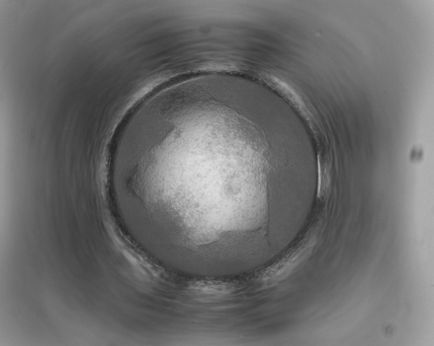 X0000095120435200712071243