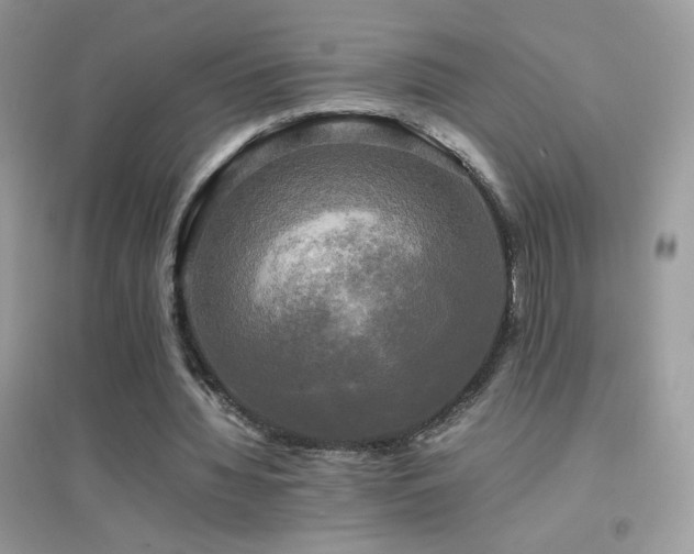 X0000095120436200712071243