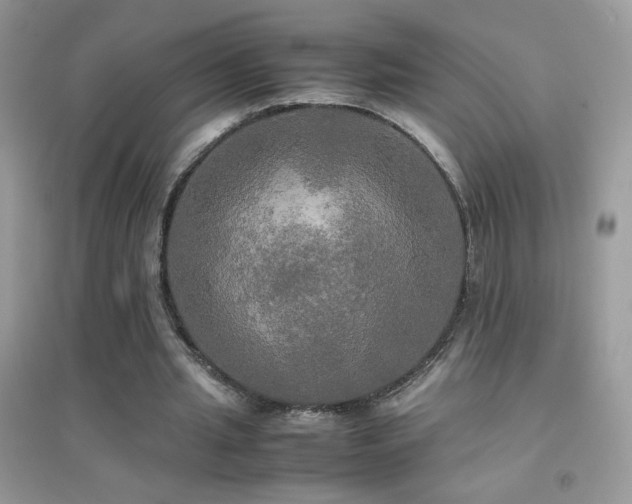 X0000095120437200712071243