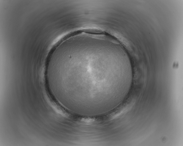 X0000095120440200712071243