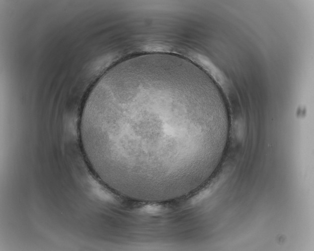 X0000095120441200712071243