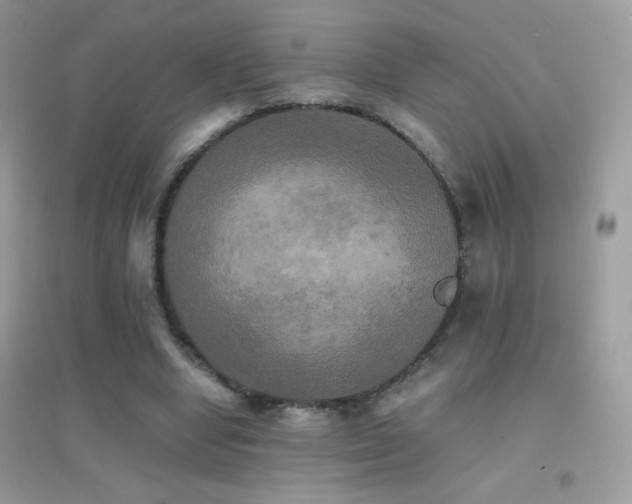 X0000095120442200712071243