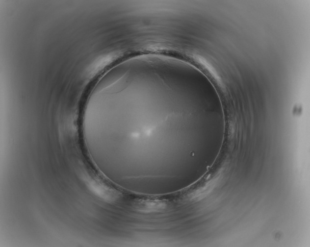 X0000095120443200712071243
