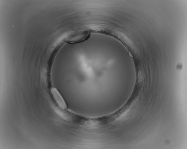 X0000095120444200712071243