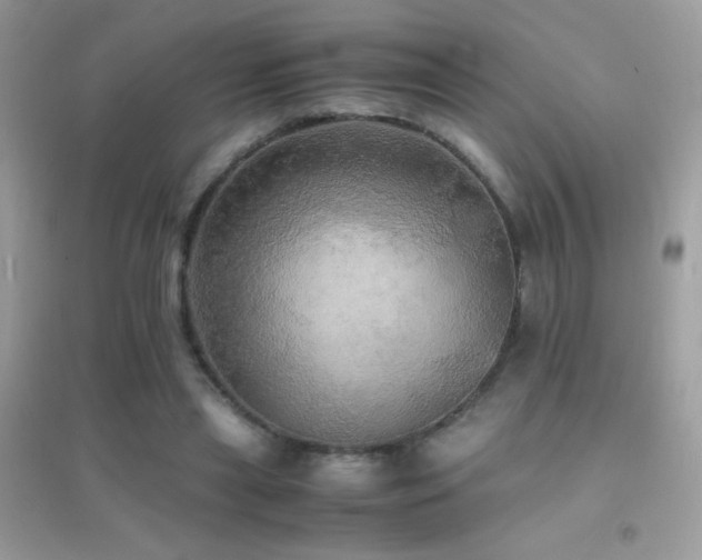 X0000095120445200712071243