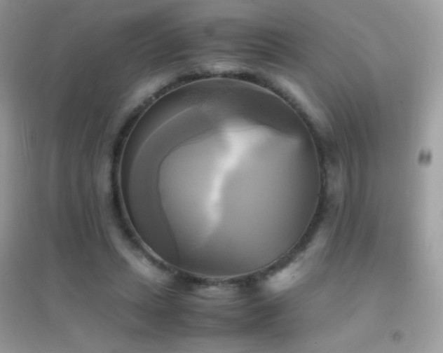 X0000095120447200712071243