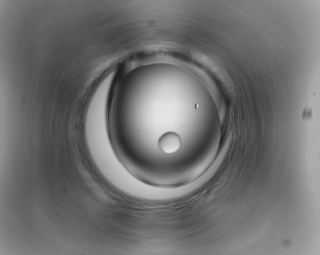 X0000095120448200712071243
