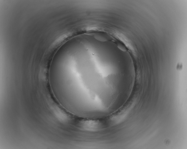 X0000095120449200712071243