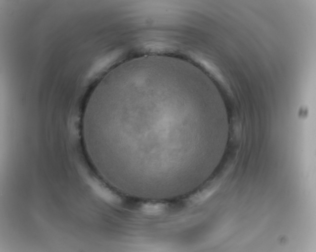 X0000095120450200712071243