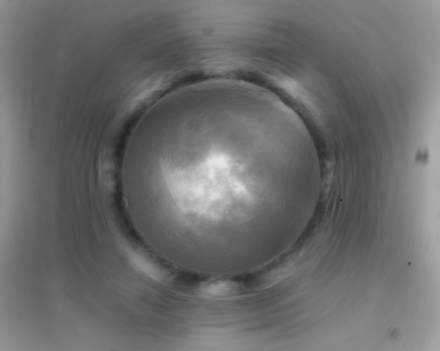 X0000095120452200712071244