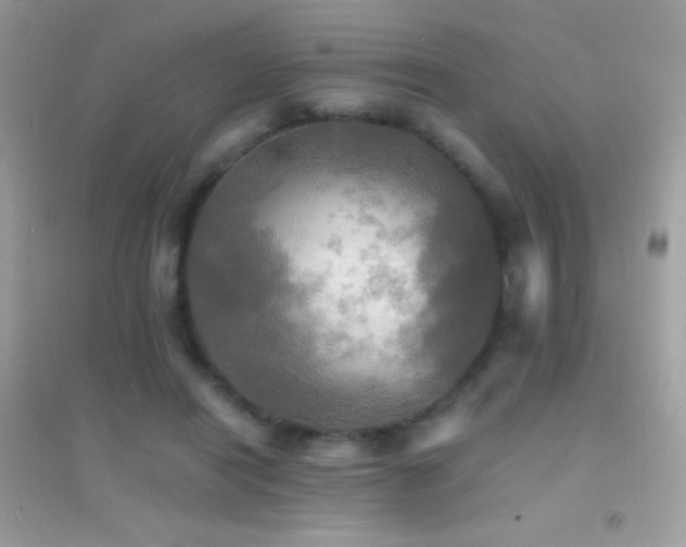X0000095120454200712071244