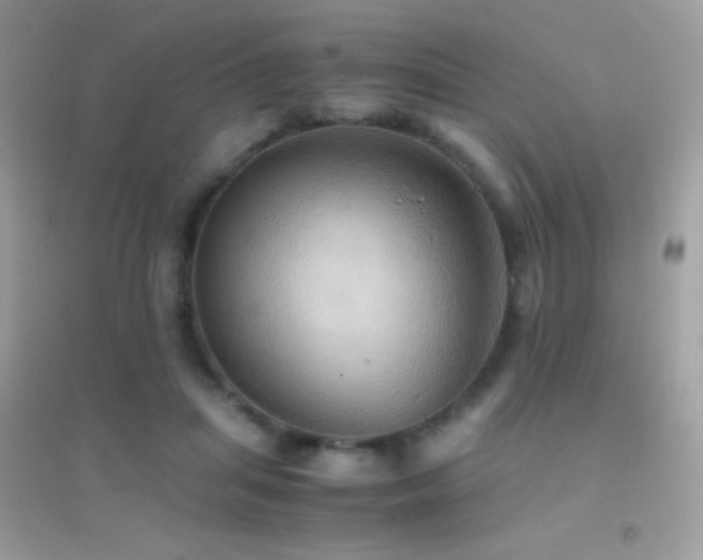 X0000095120455200712071244