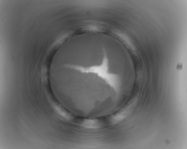 X0000095120457200712071244