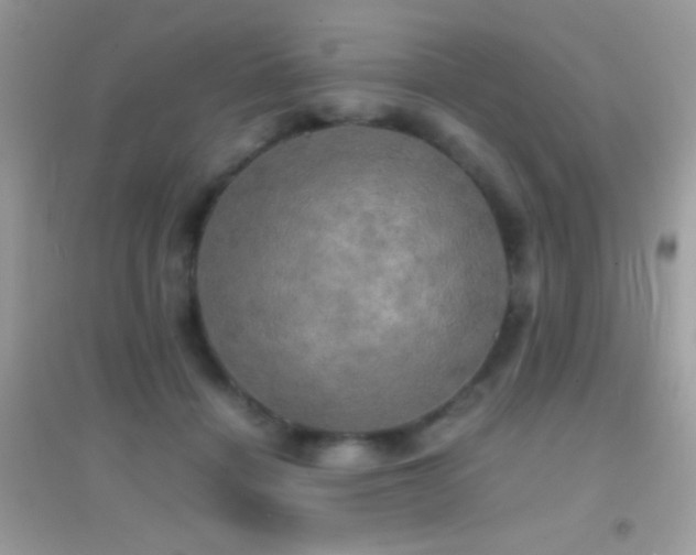 X0000095120460200712071244