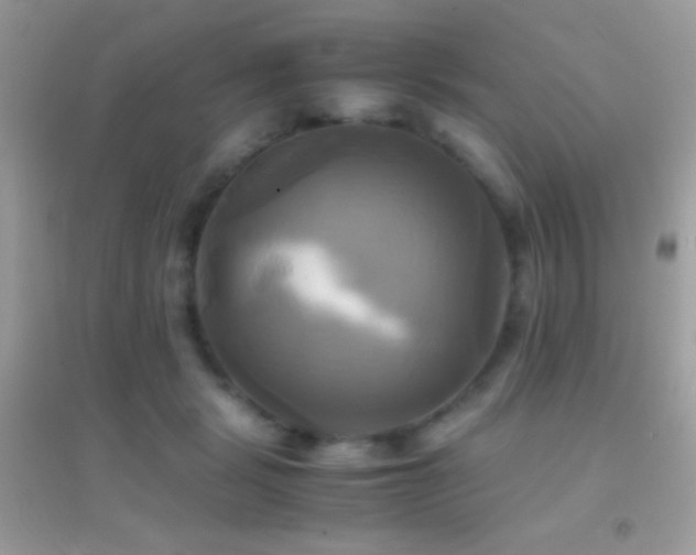 X0000095120461200712071244