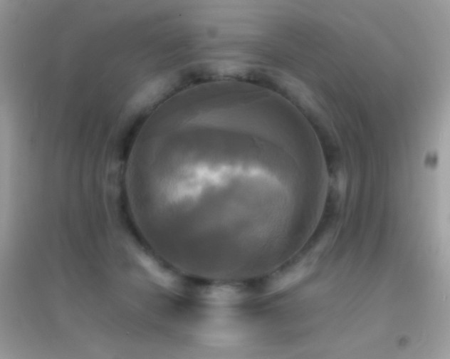 X0000095120462200712071244