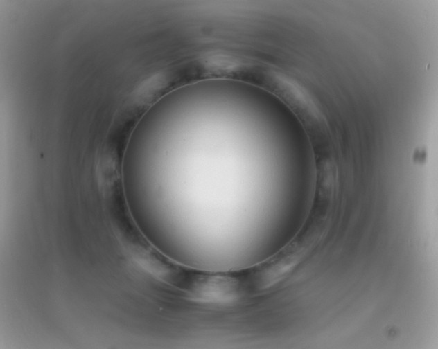X0000095120463200712071244