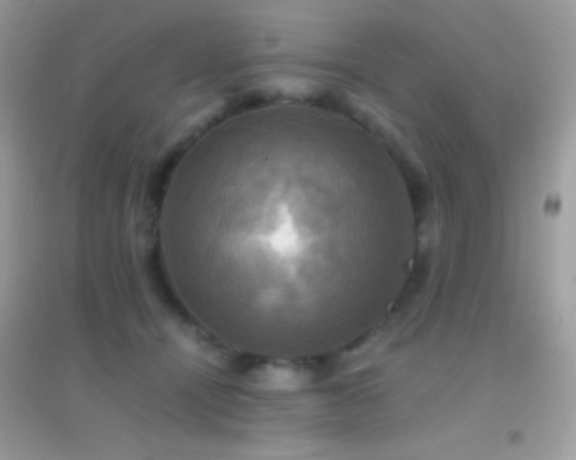X0000095120464200712071244