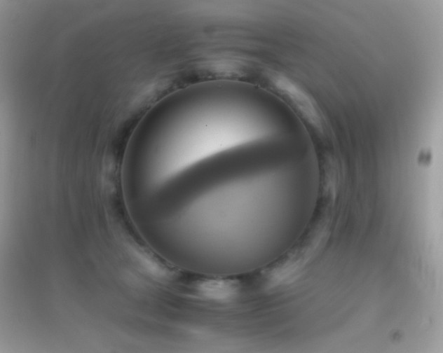 X0000095120465200712071244