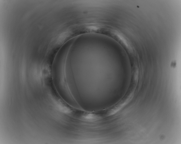 X0000095120467200712071244
