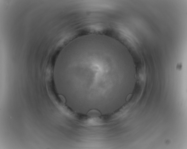 X0000095120468200712071244