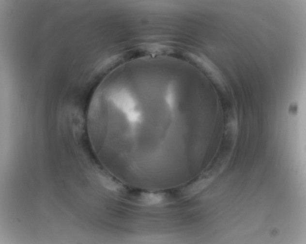 X0000095120469200712071244