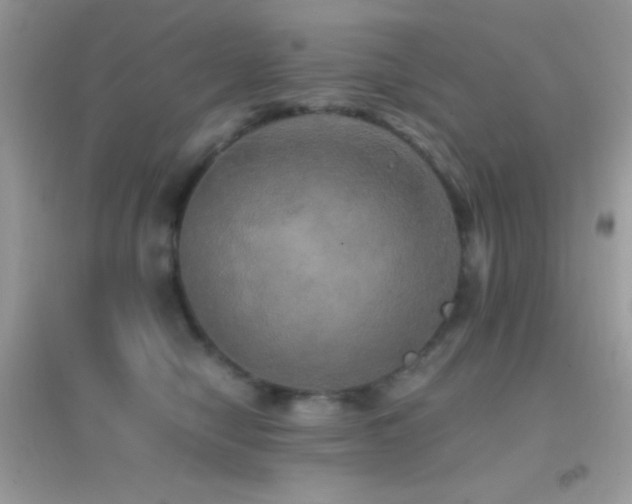 X0000095120470200712071244