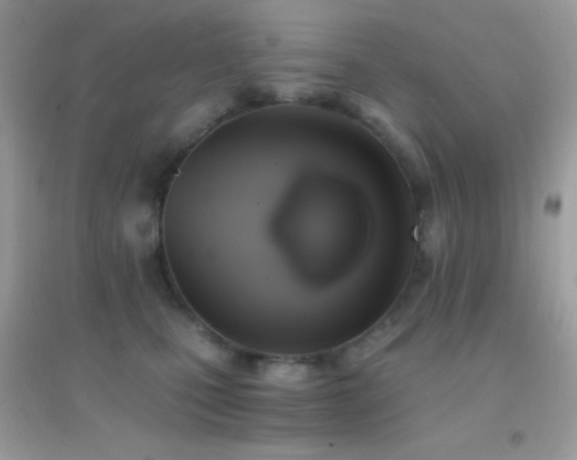 X0000095120471200712071244
