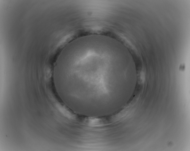 X0000095120472200712071244