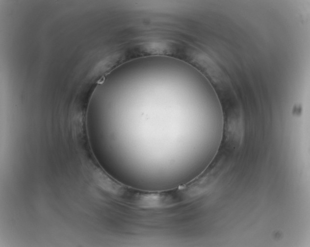 X0000095120473200712071244