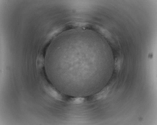 X0000095120474200712071244